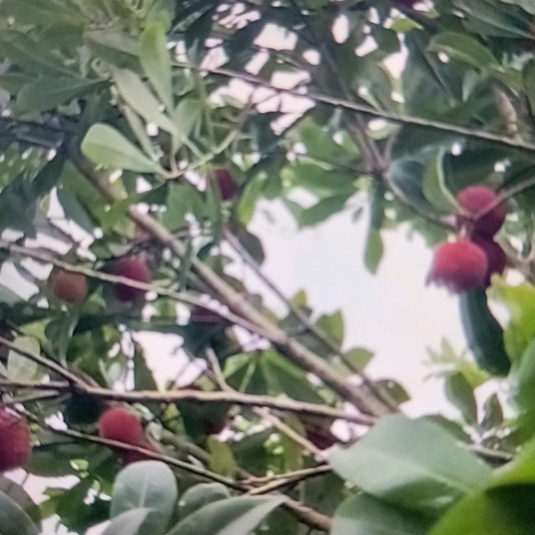 爱上你不是我的错