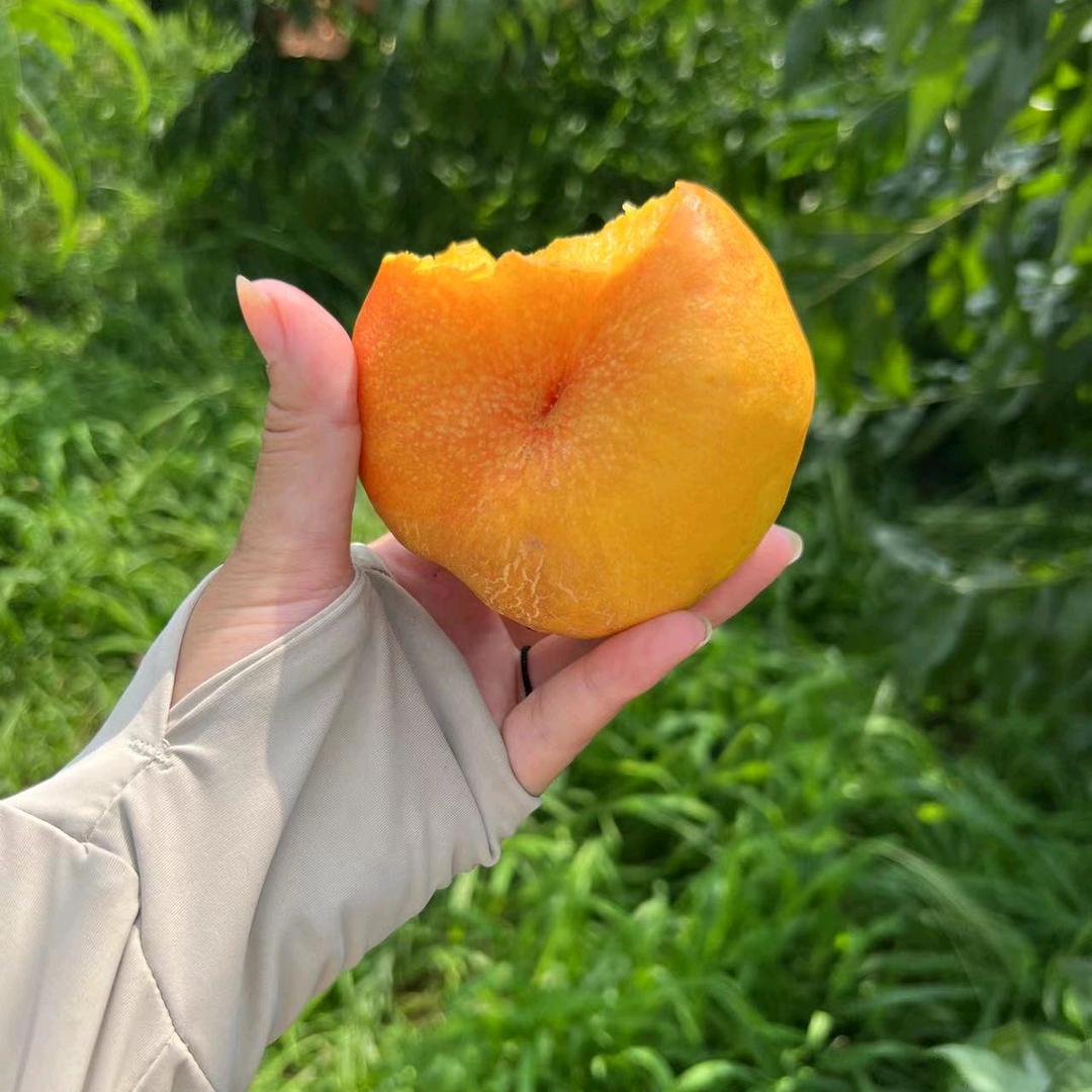 心随果动鲜果园