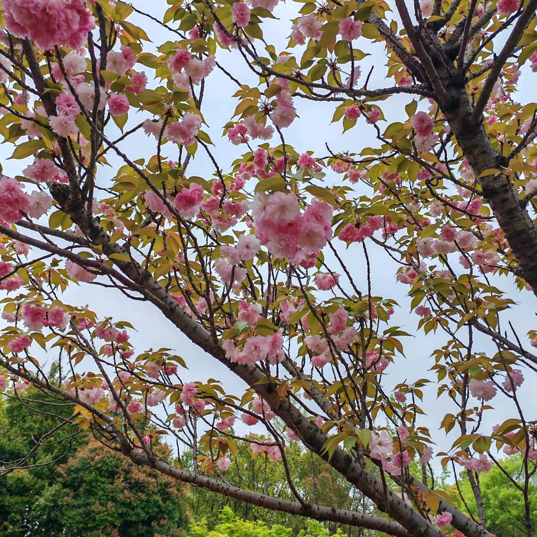 随遇而安