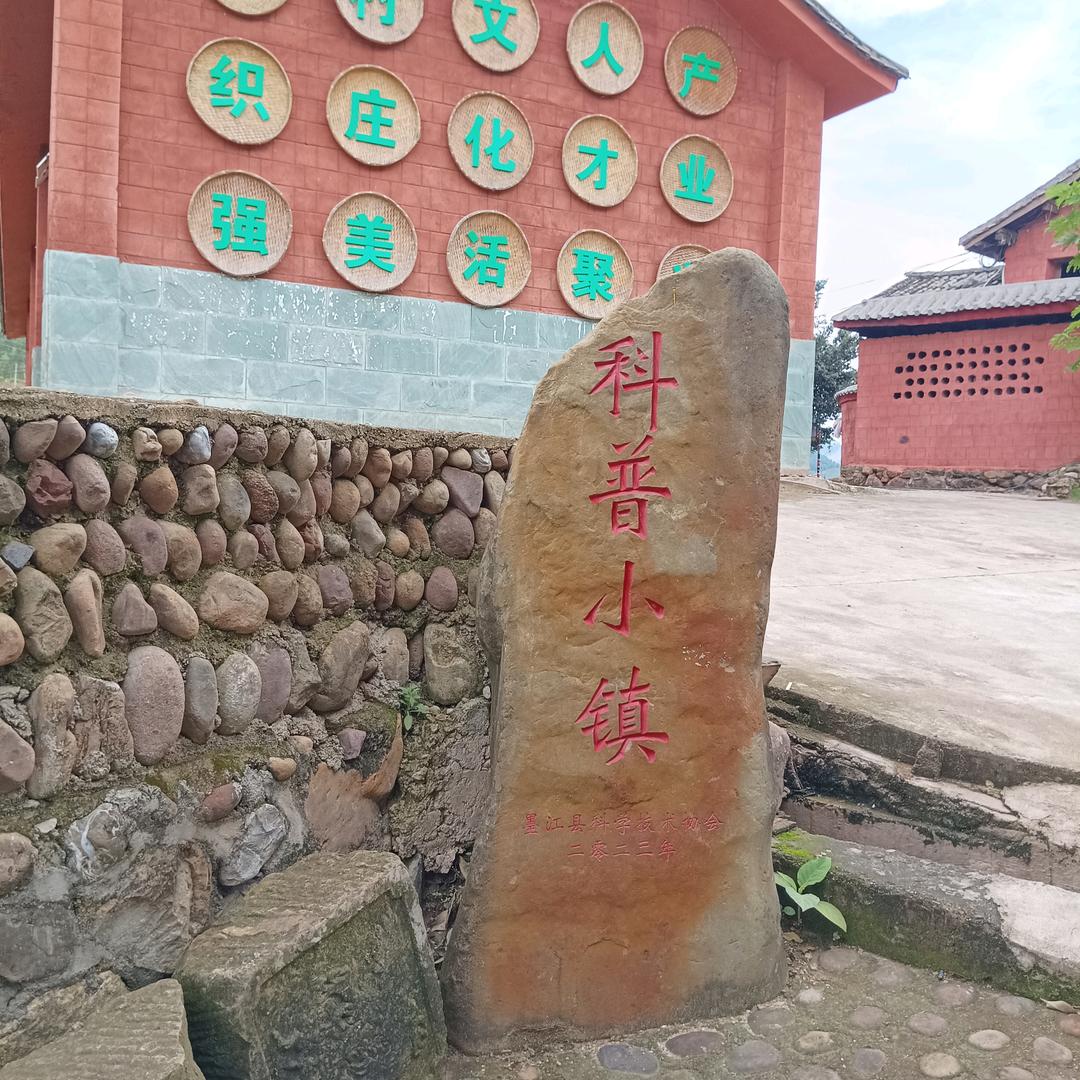 lingmei💐💐💐