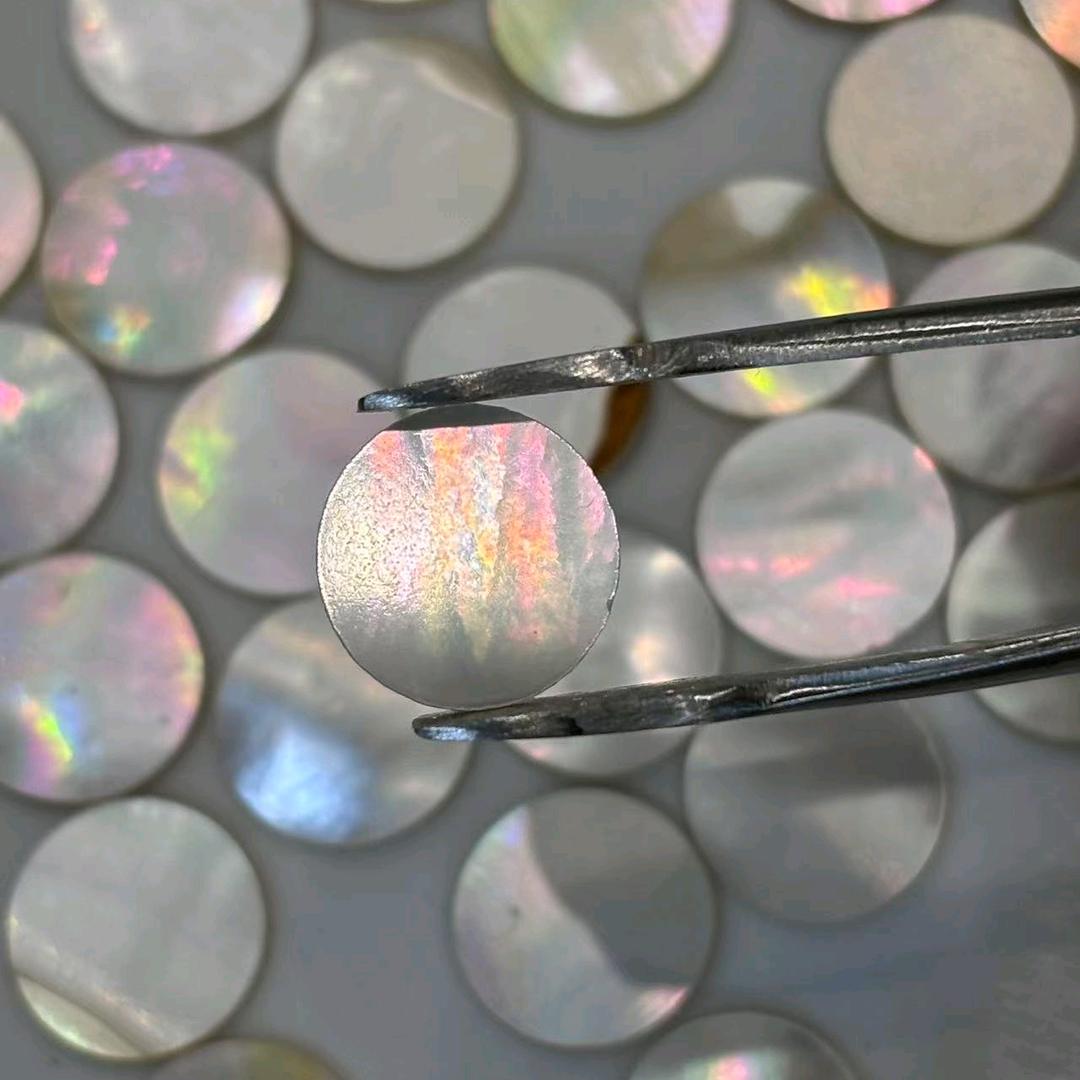 义通白蝶贝加工厂