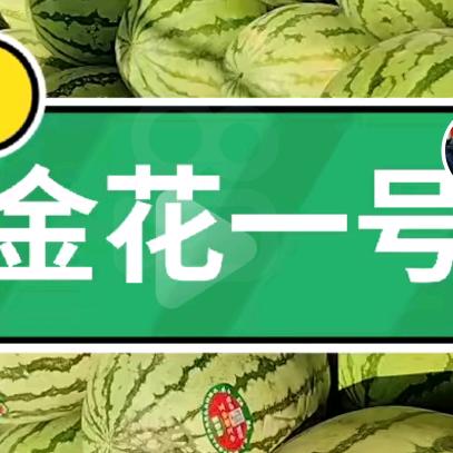 水果批发