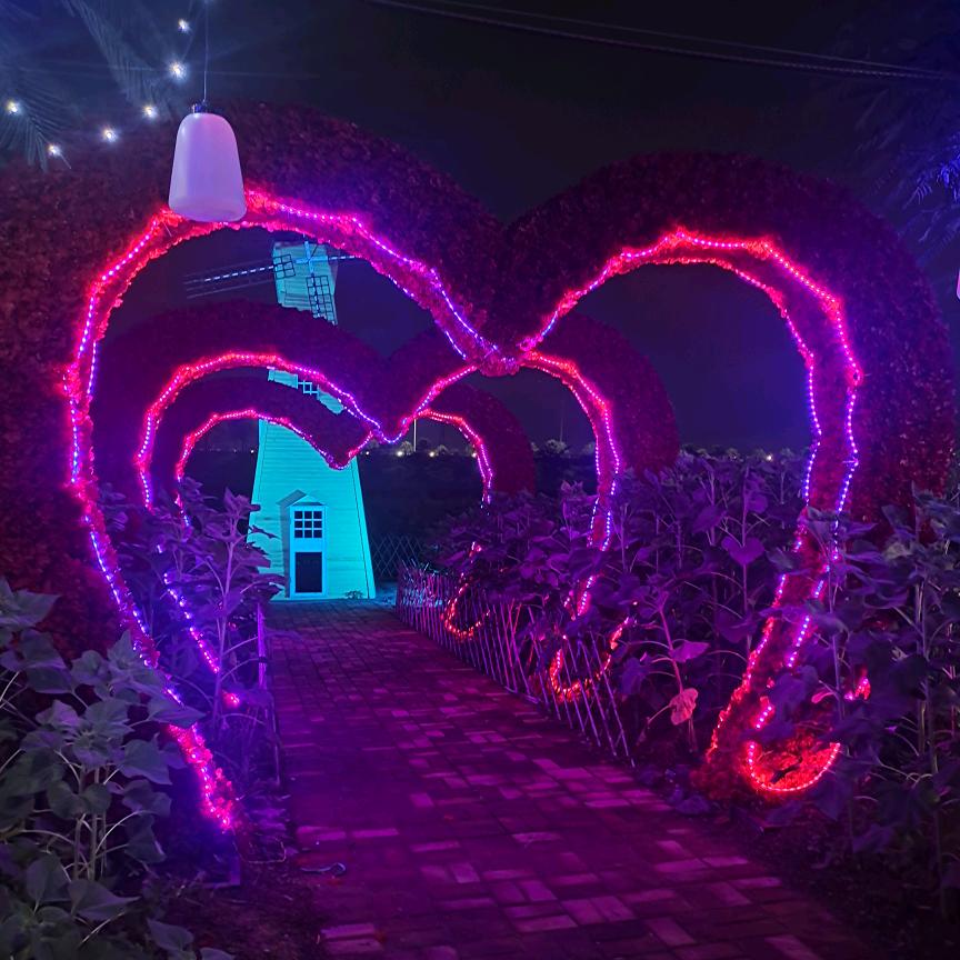 雾非雾丶╮の迷惘