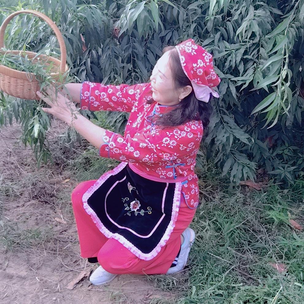 李大姐