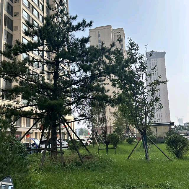 一个好人