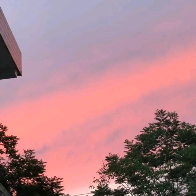 田思曼
