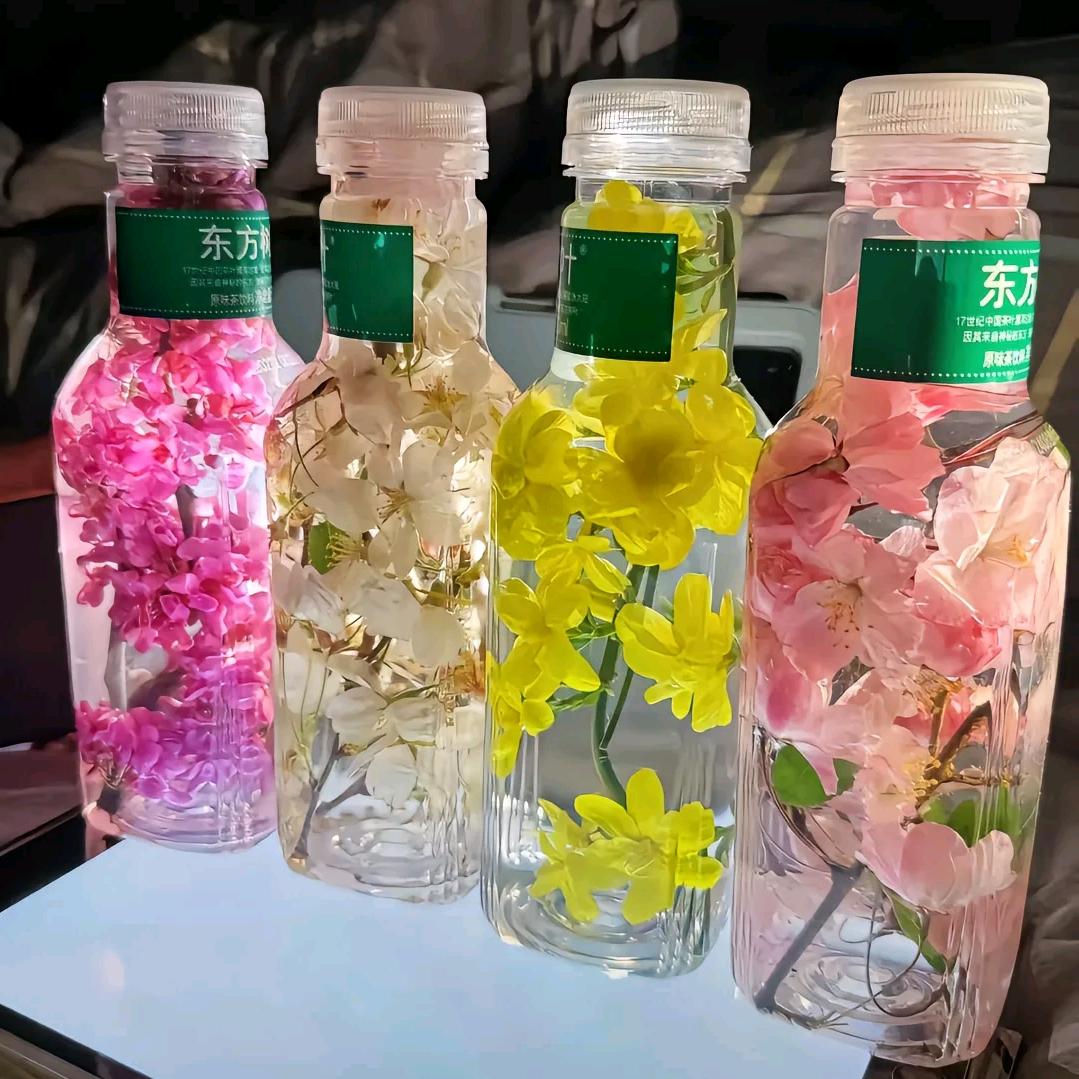 ✨艳子✨
