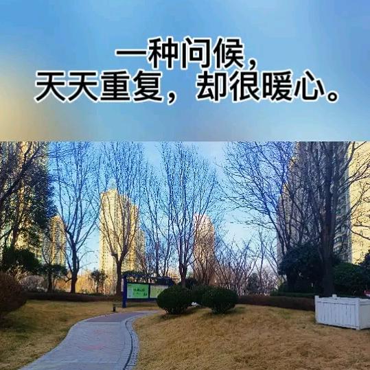 滿目星陈