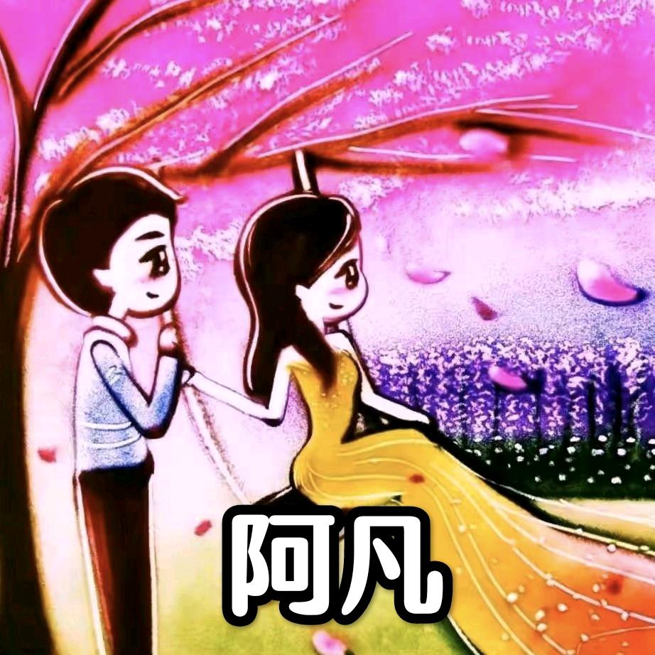 Mr—阿凡策划（高端定制）