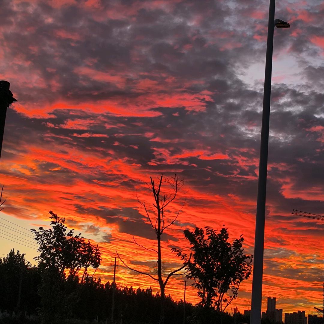 也无风雨也无晴520