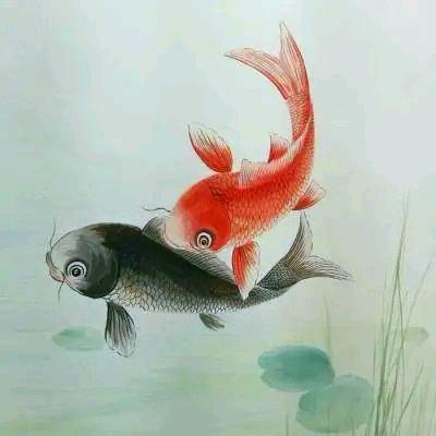 洋子