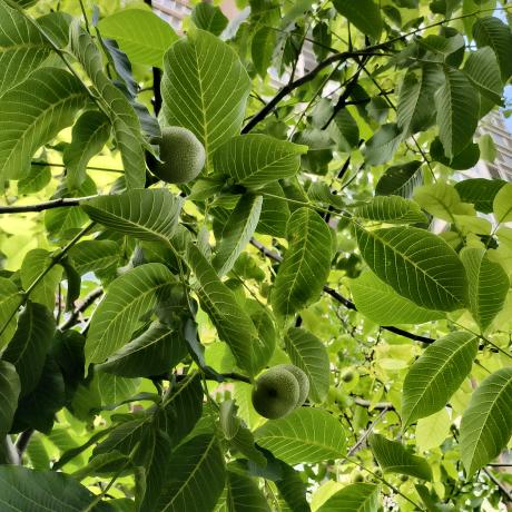 开心✧٩(ˊωˋ*)و✧