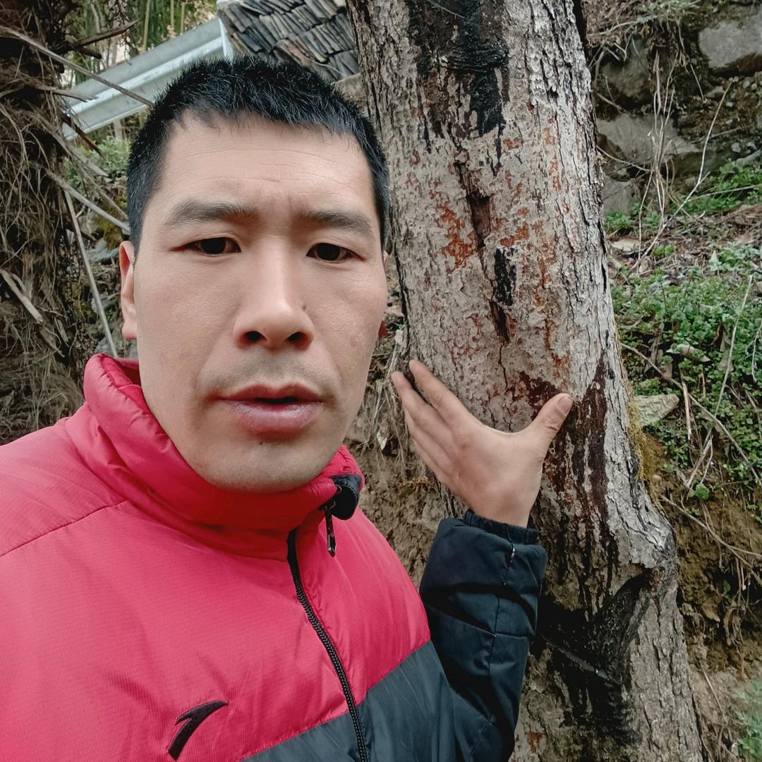 罗漆匠生漆出售