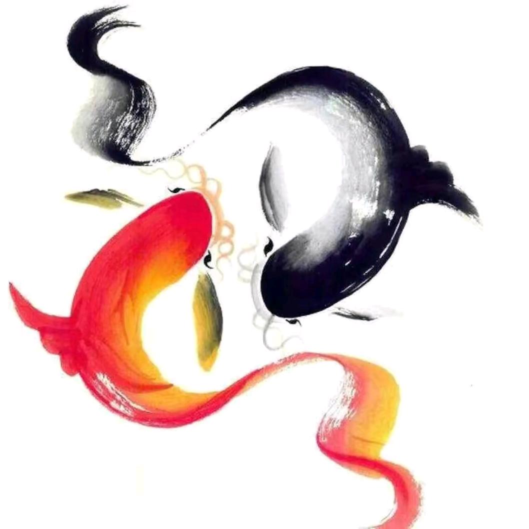 丝路花雨