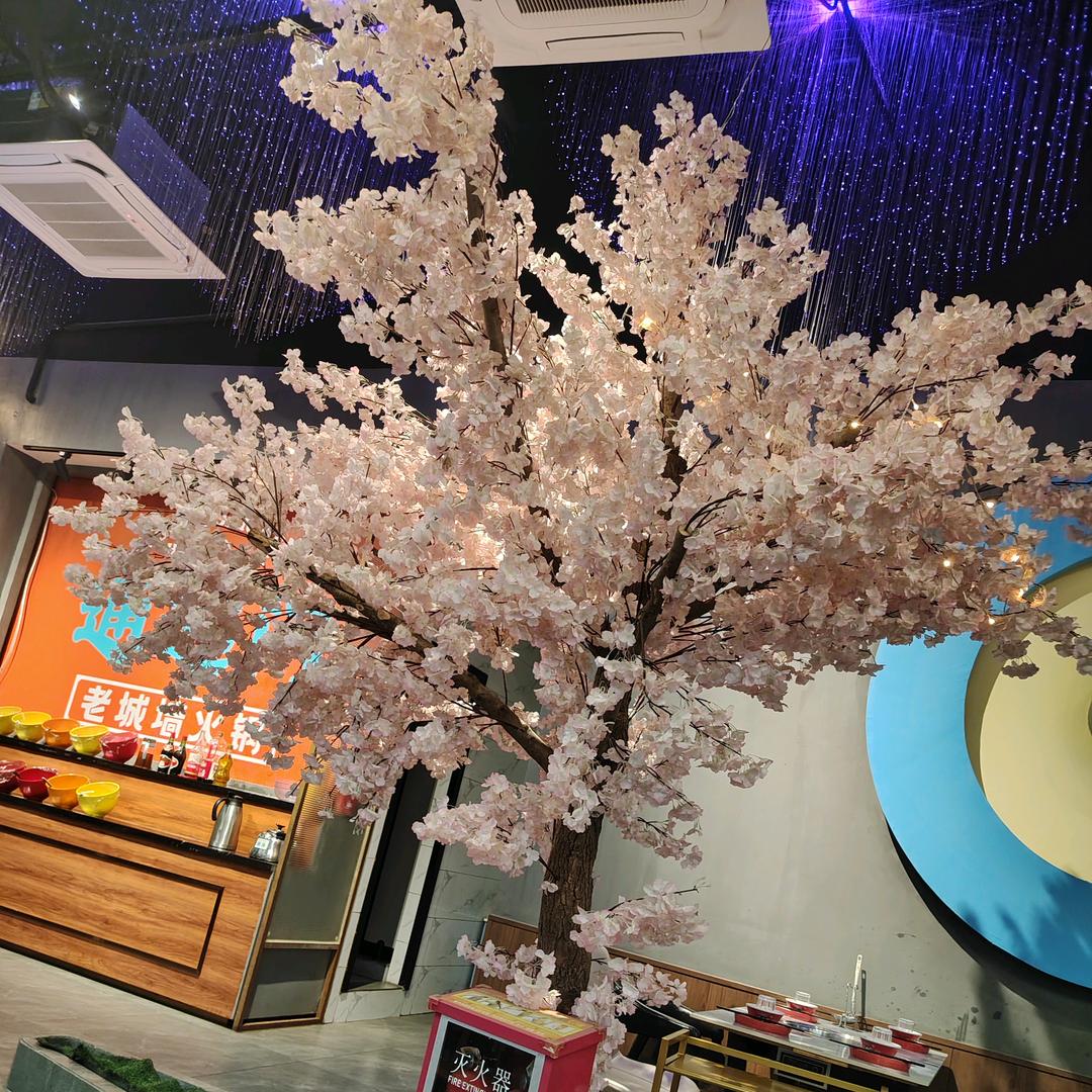 ૮₍♡幸运♡₎ა