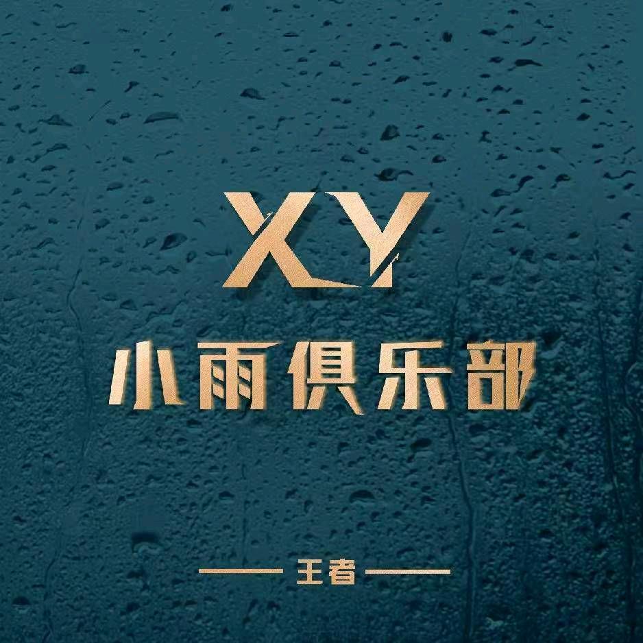 a小雨工作室（专接大小国）