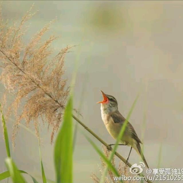 通过镜头看世界