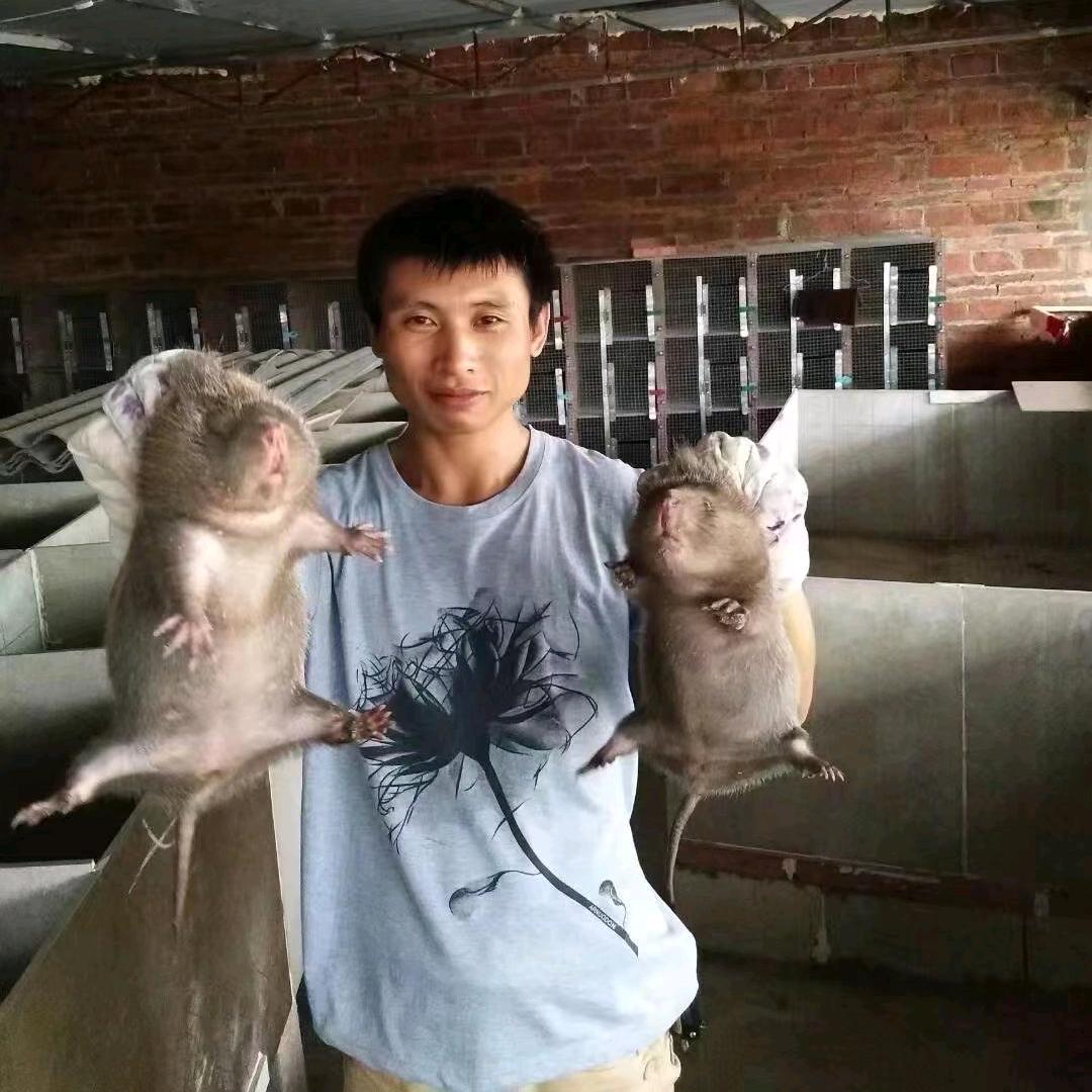 农人阿戈