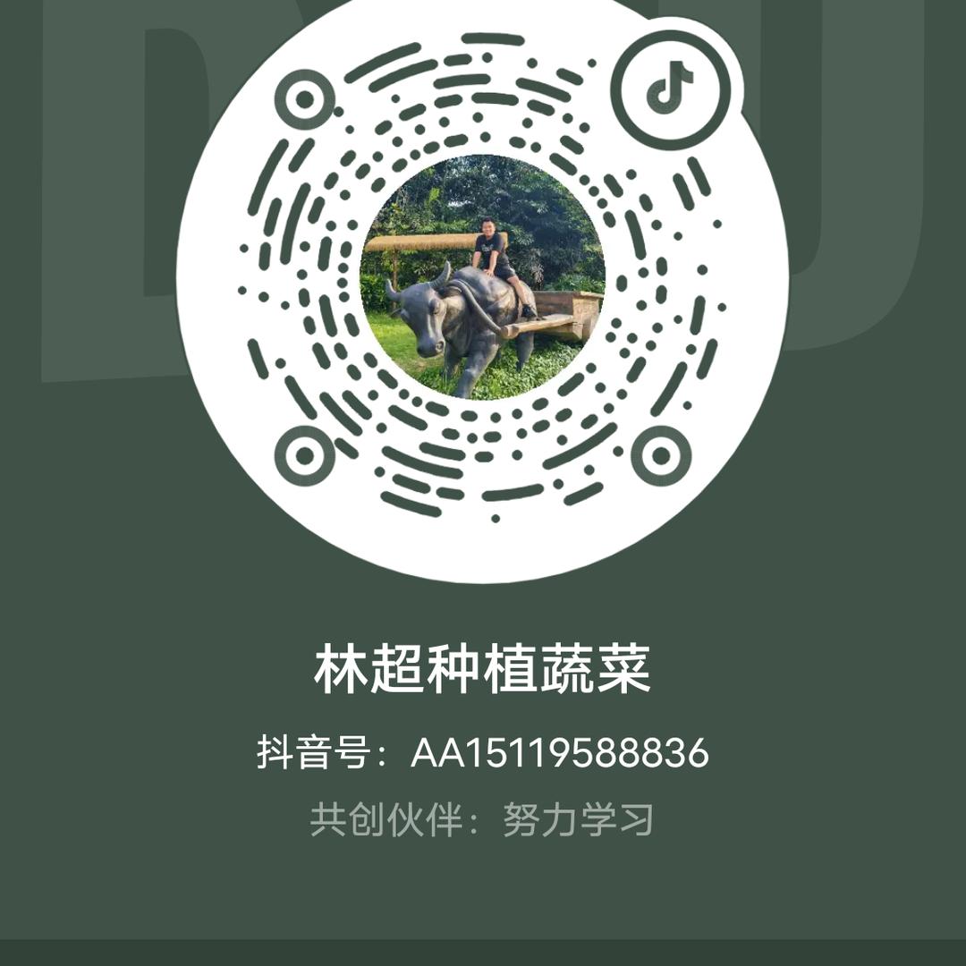 林超种植蔬菜