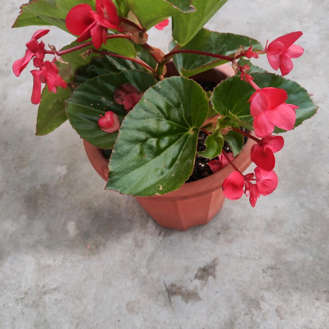 顺其自然