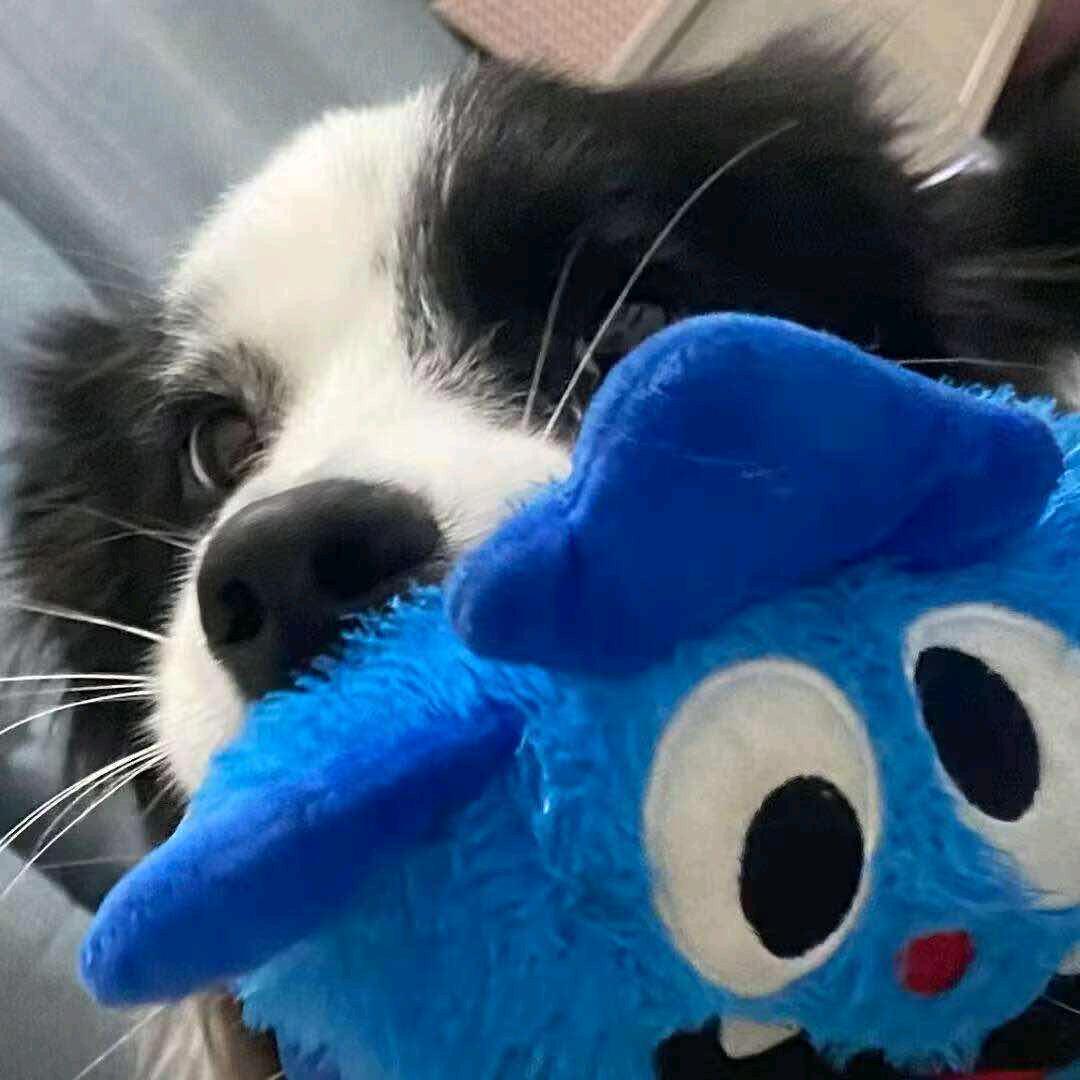 智鹏生活创意屋