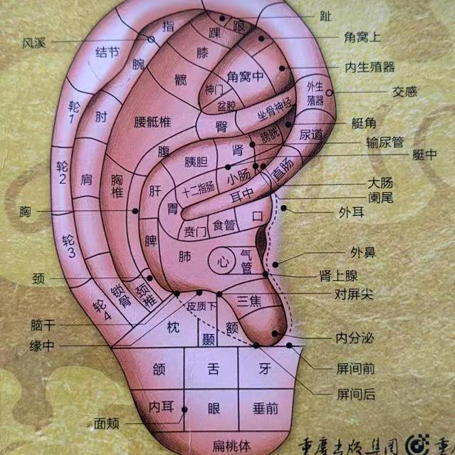 观耳知病
