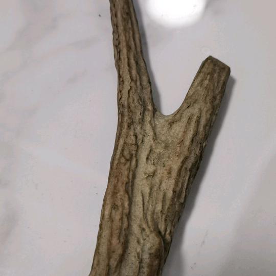 娘以起