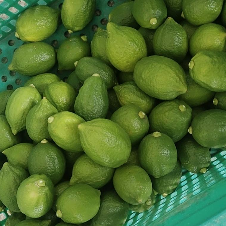 北柠香水柠檬合作社