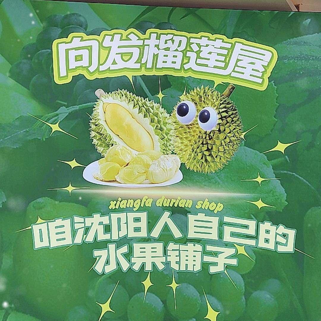 向发榴莲屋沈阳仓铁西