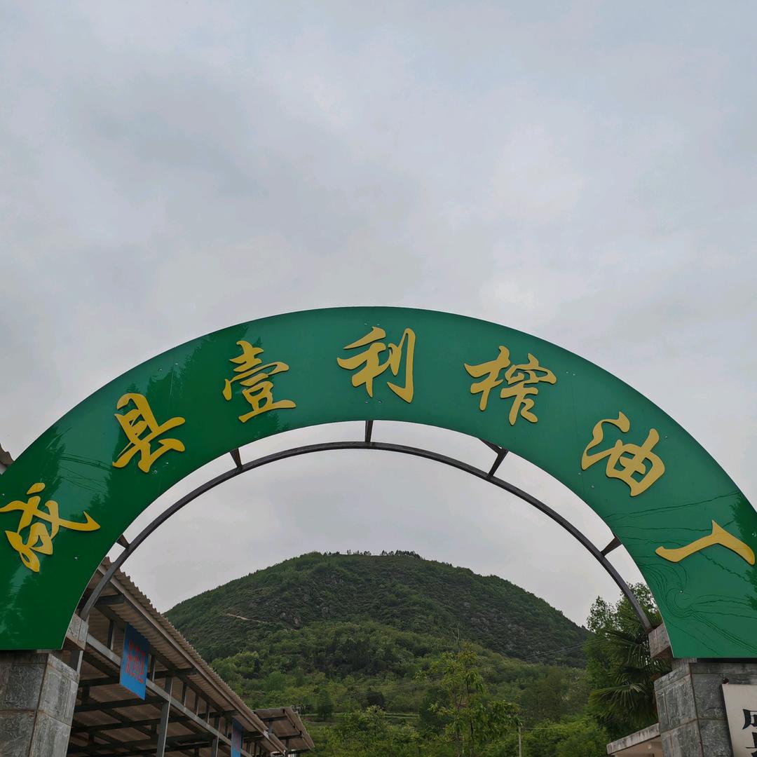 成县壹利榨油厂