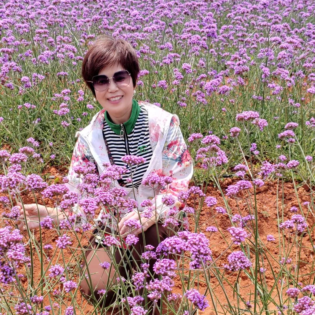 王🍀菊