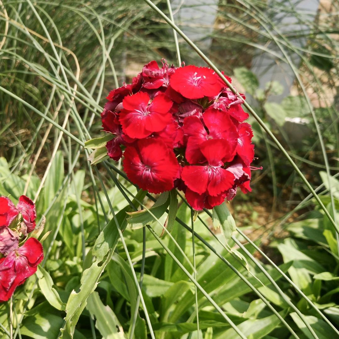 一路朝阳(｢･ω･)｢嘿