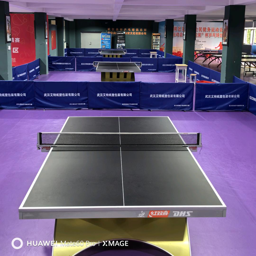 武汉澳林星辰体育文化有限公司