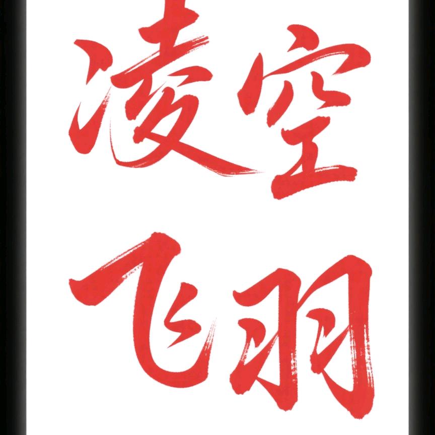 凌空飞羽