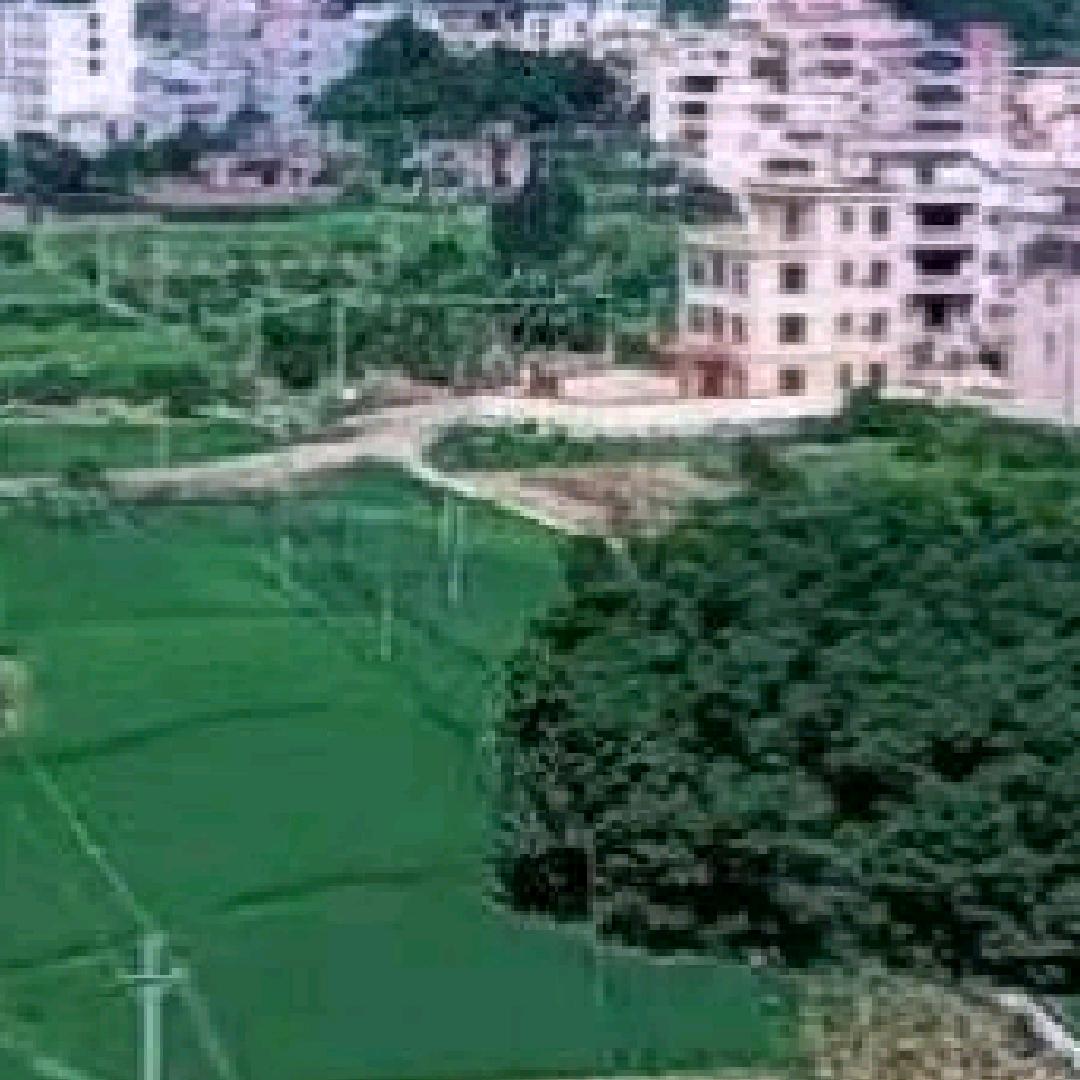 琪辉小吃.汉惠东莞