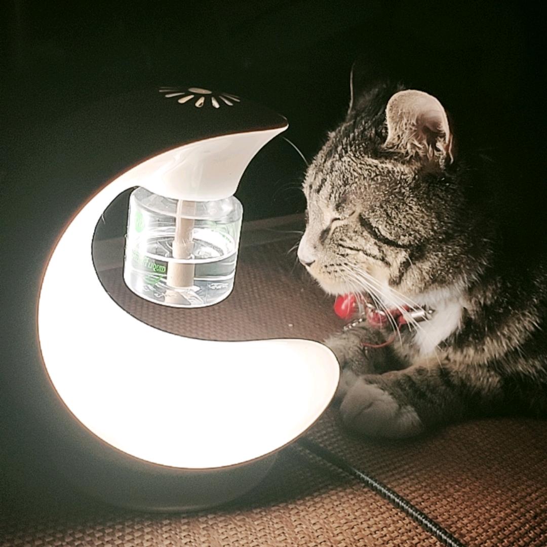 💞我的小祖宗💞