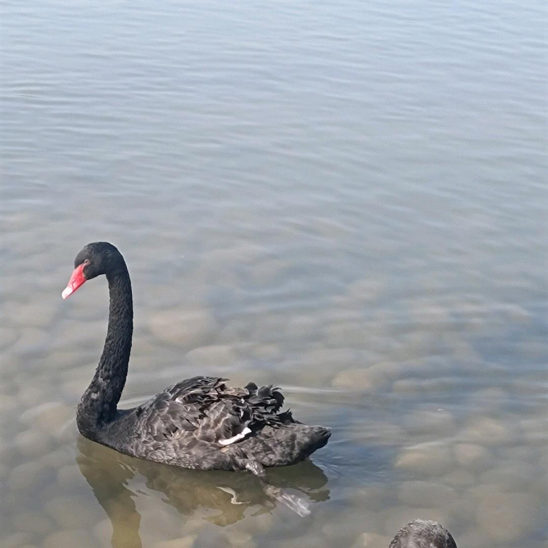 橙色光芒