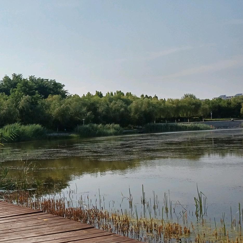 清风细雨润红尘