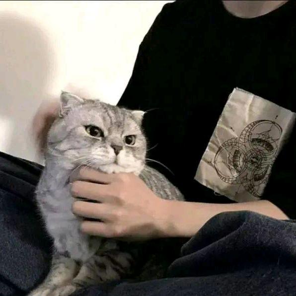 超凯瑞的球球
