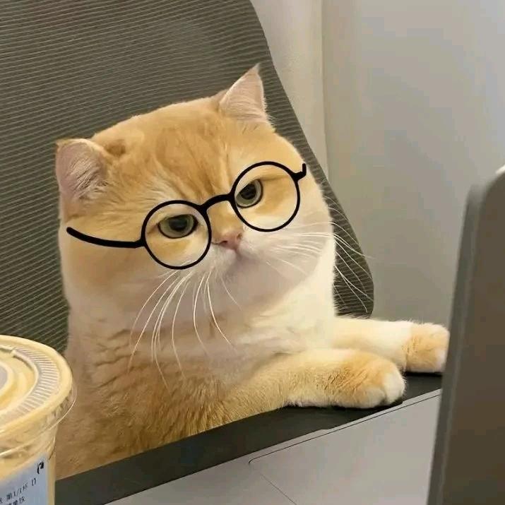 菠菜（彤款👀贝景）