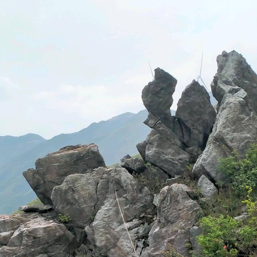 @@发哥土特产