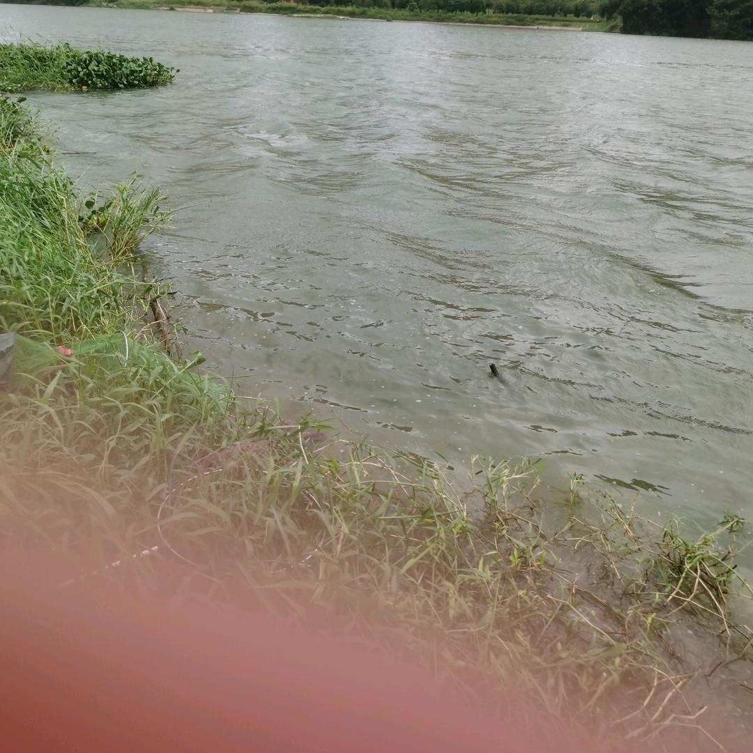 明明可以却又不行