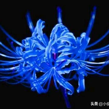 ༄༂ℯ⃝   ༒ ℯ⃝ ༄༂