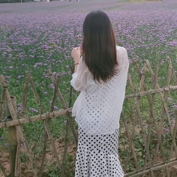 湖南蓉儿