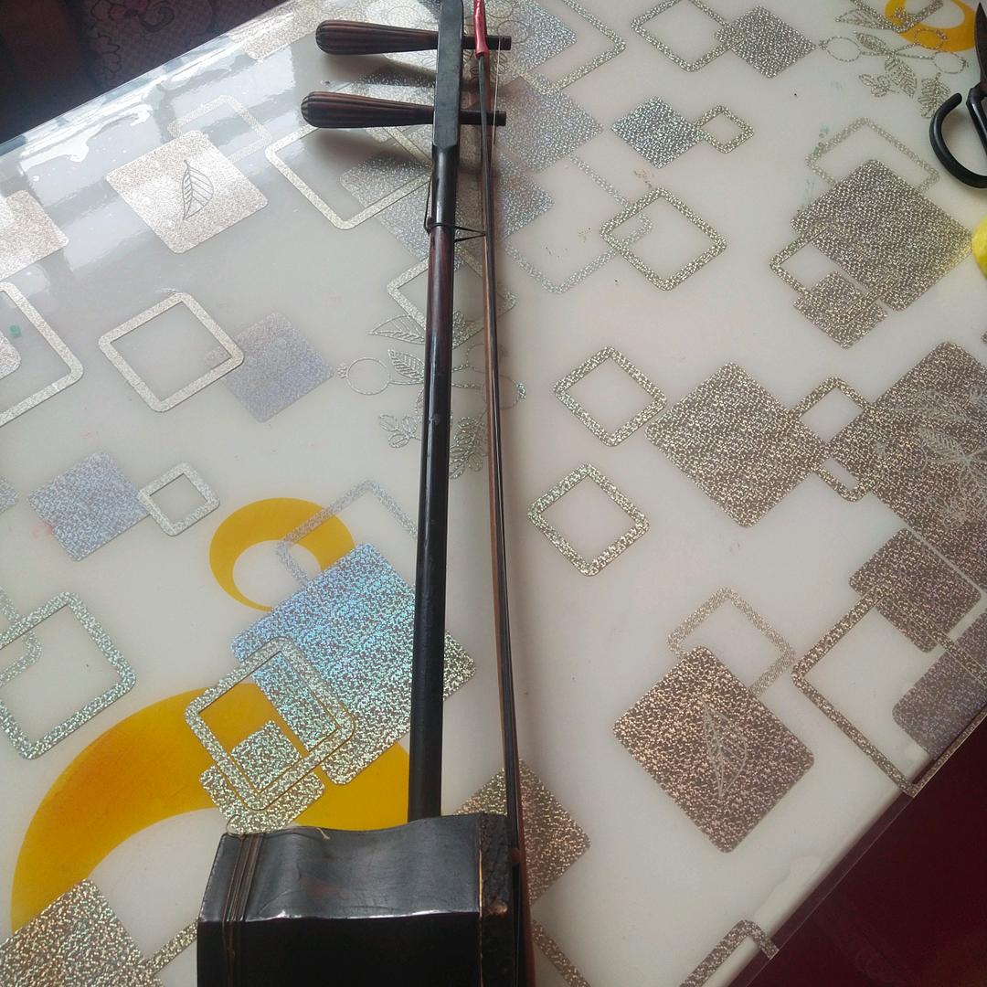 爱音乐的人