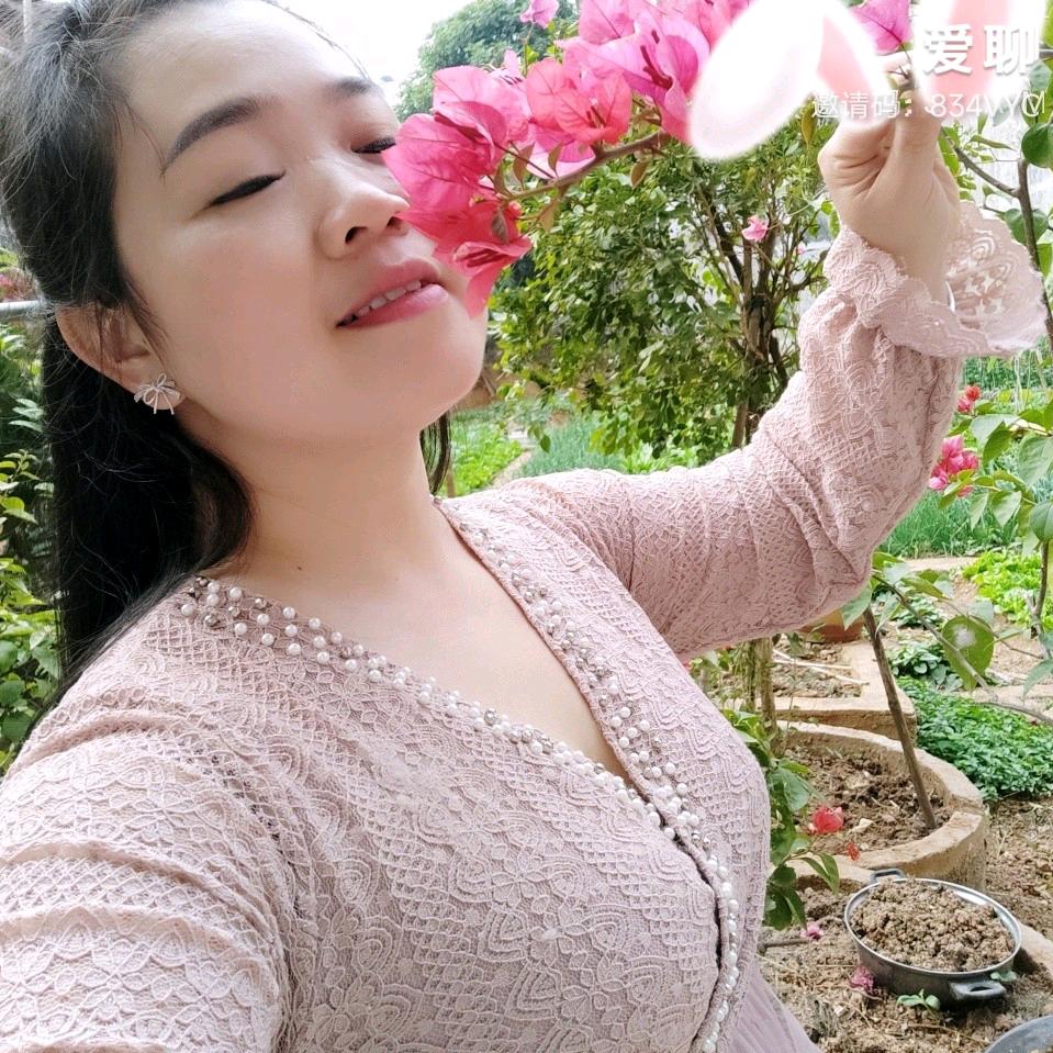 红豆