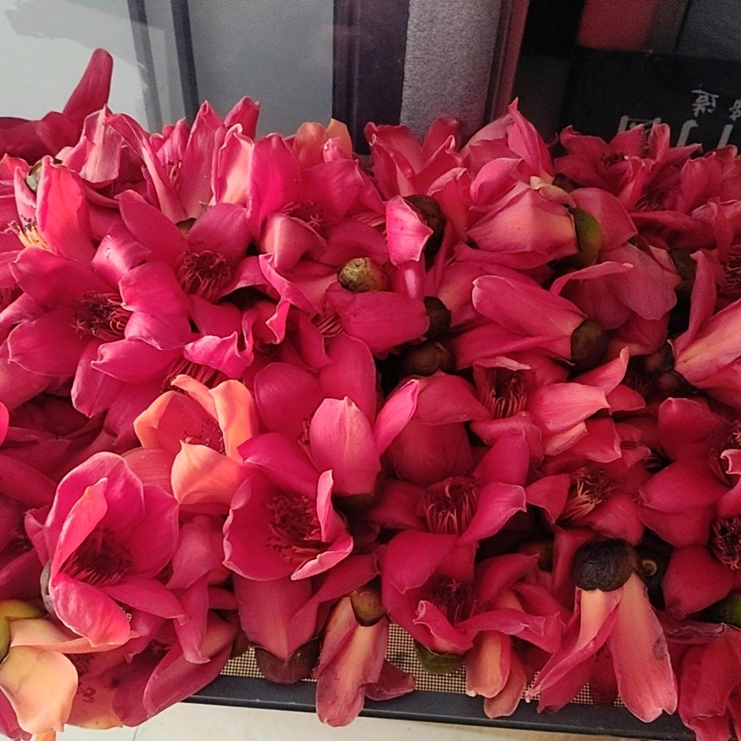 兴发铁床门业，吴姐