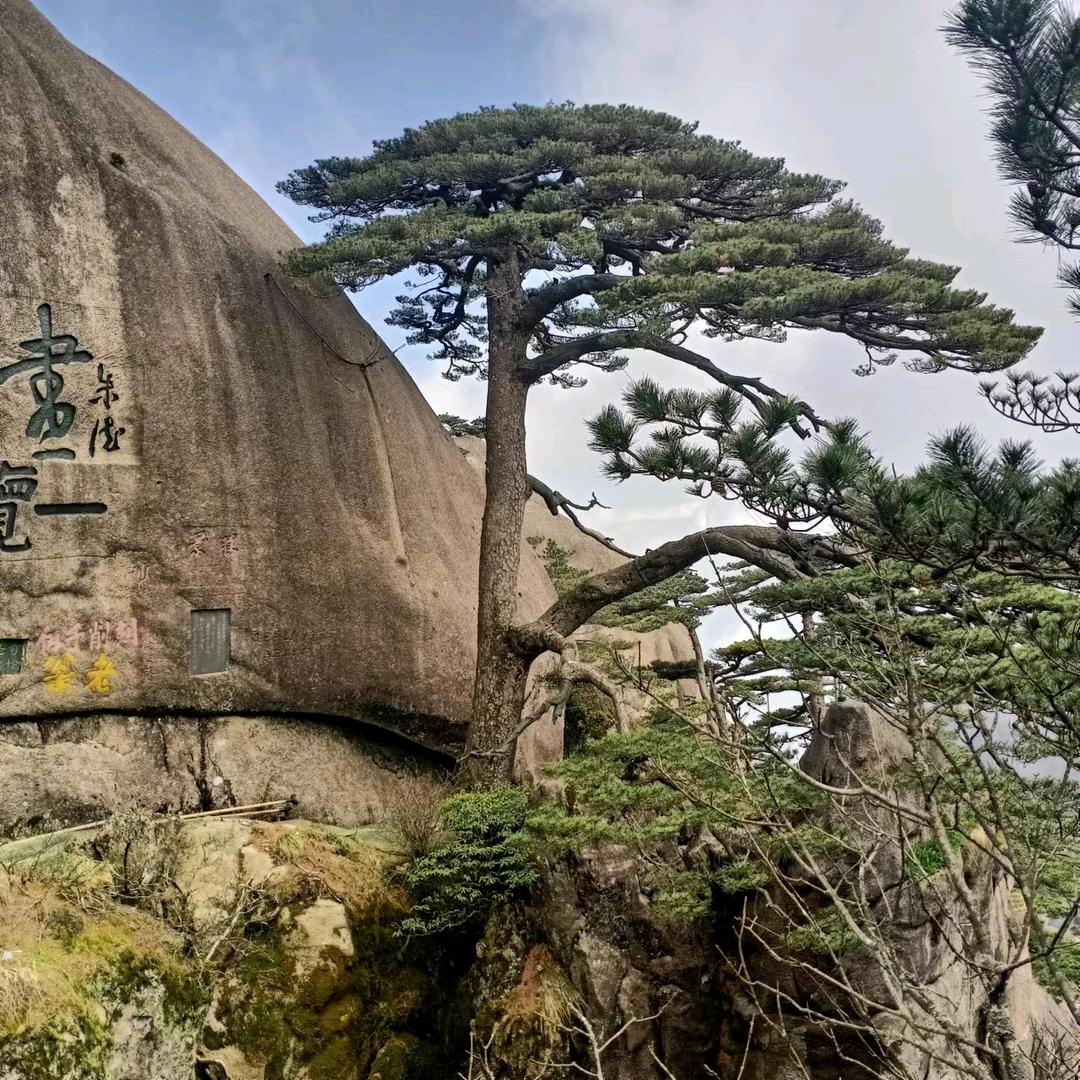 余生安好