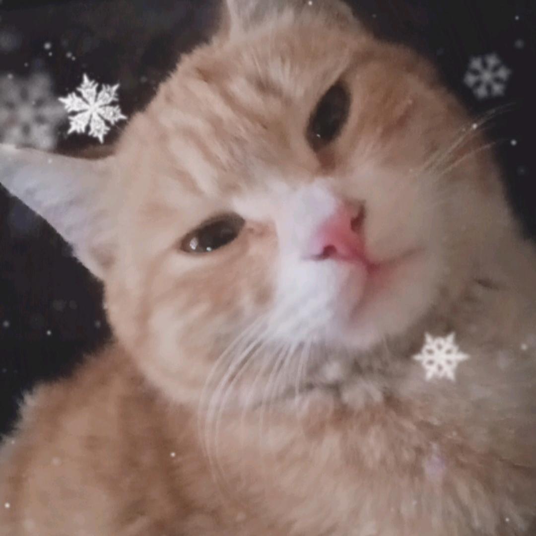 古古