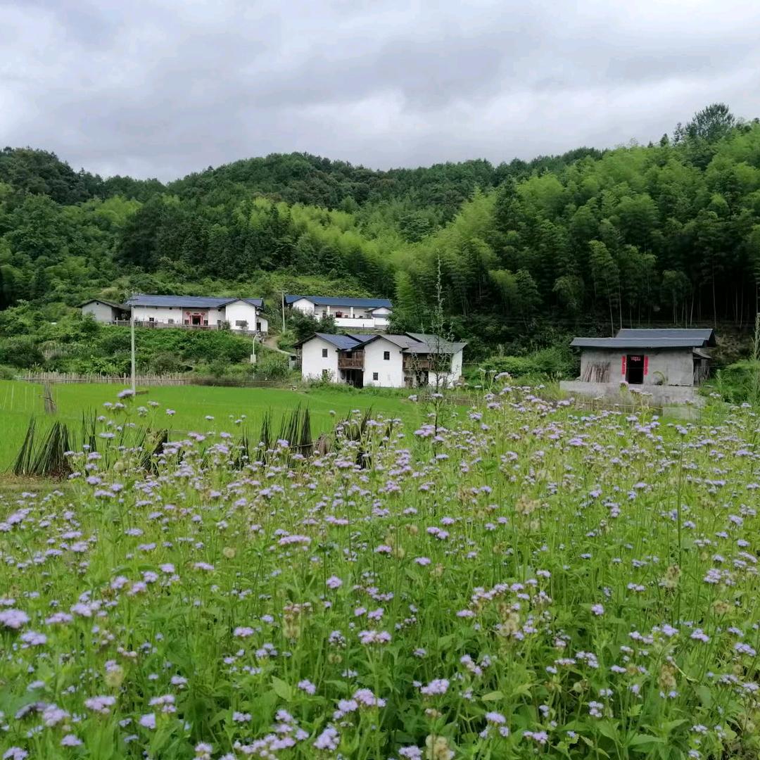 龙牙石